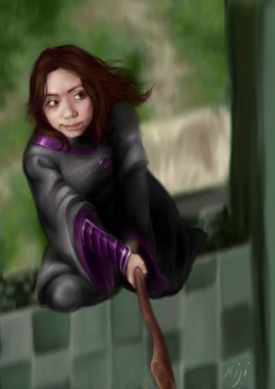quidditch player harry potter