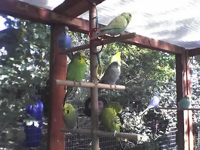 18-07-07_0852.jpg