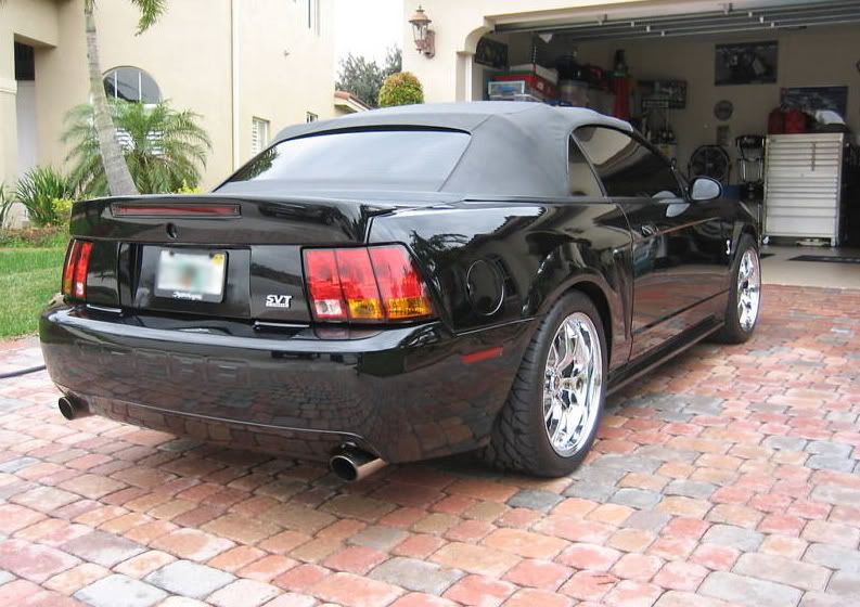 FS: 1999 Mustang SVT Cobra Convertible
