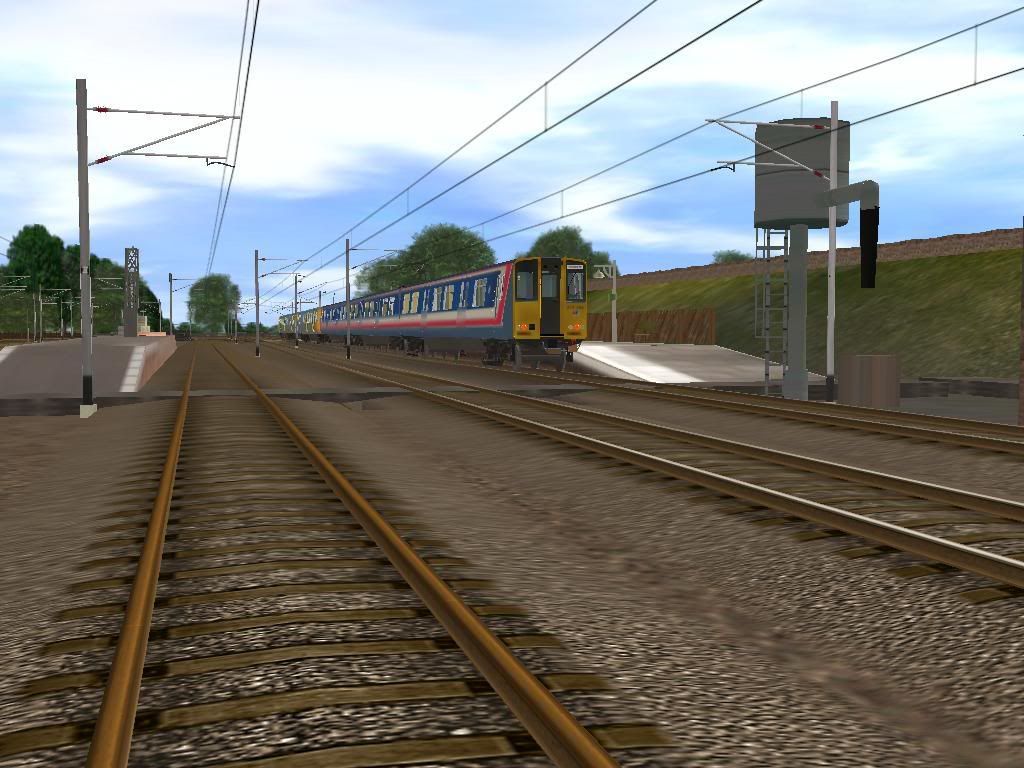 313055.jpg