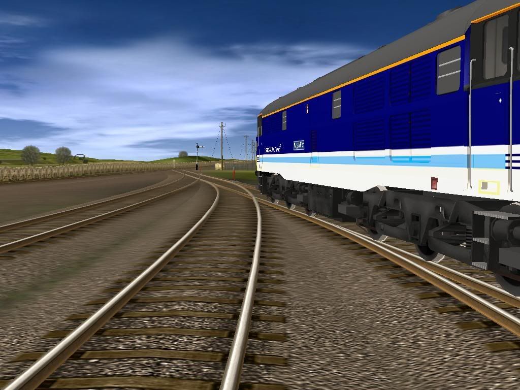 31421.jpg