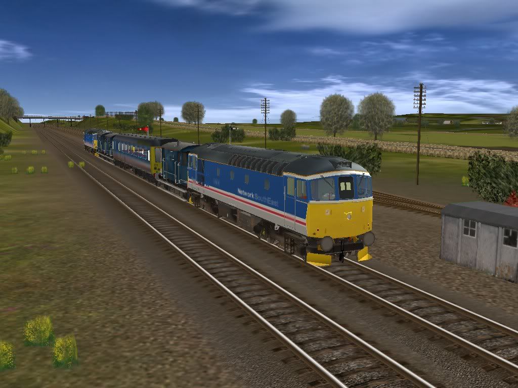 33035-2.jpg