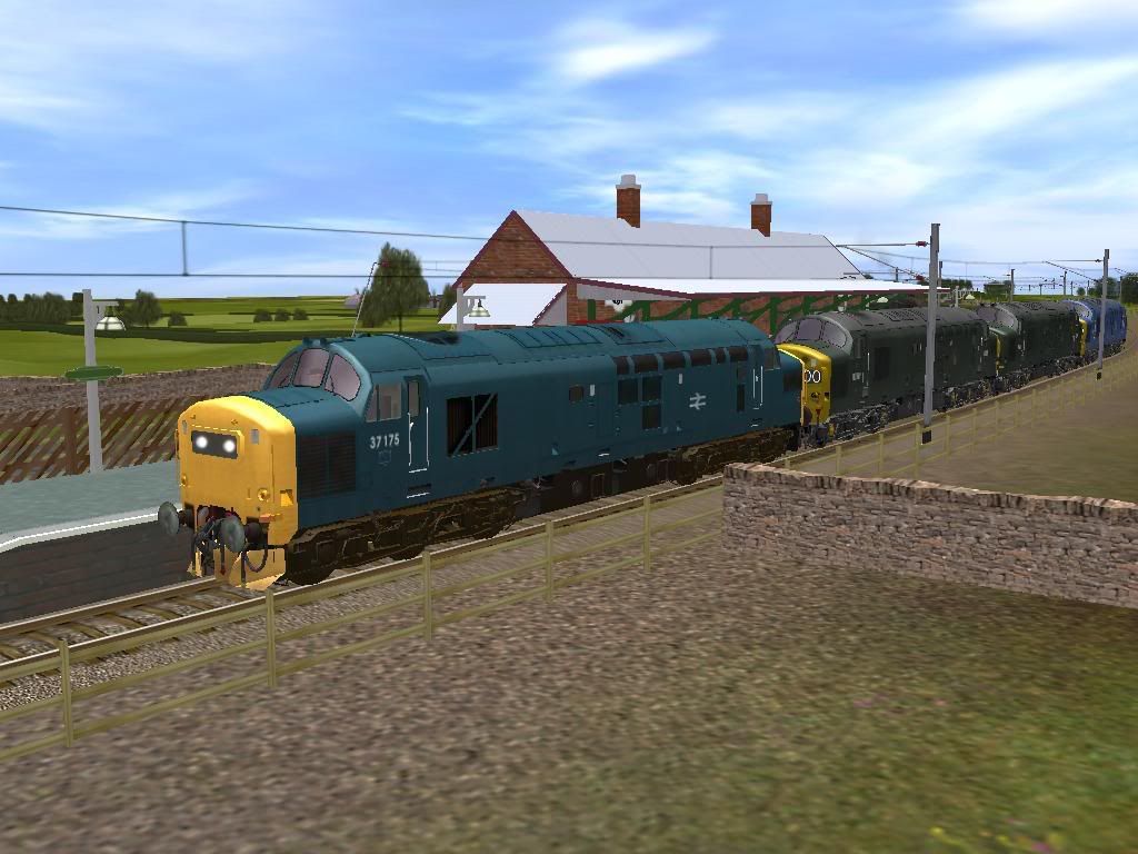 37175.jpg
