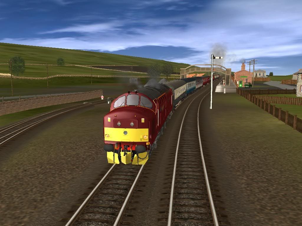 37214.jpg