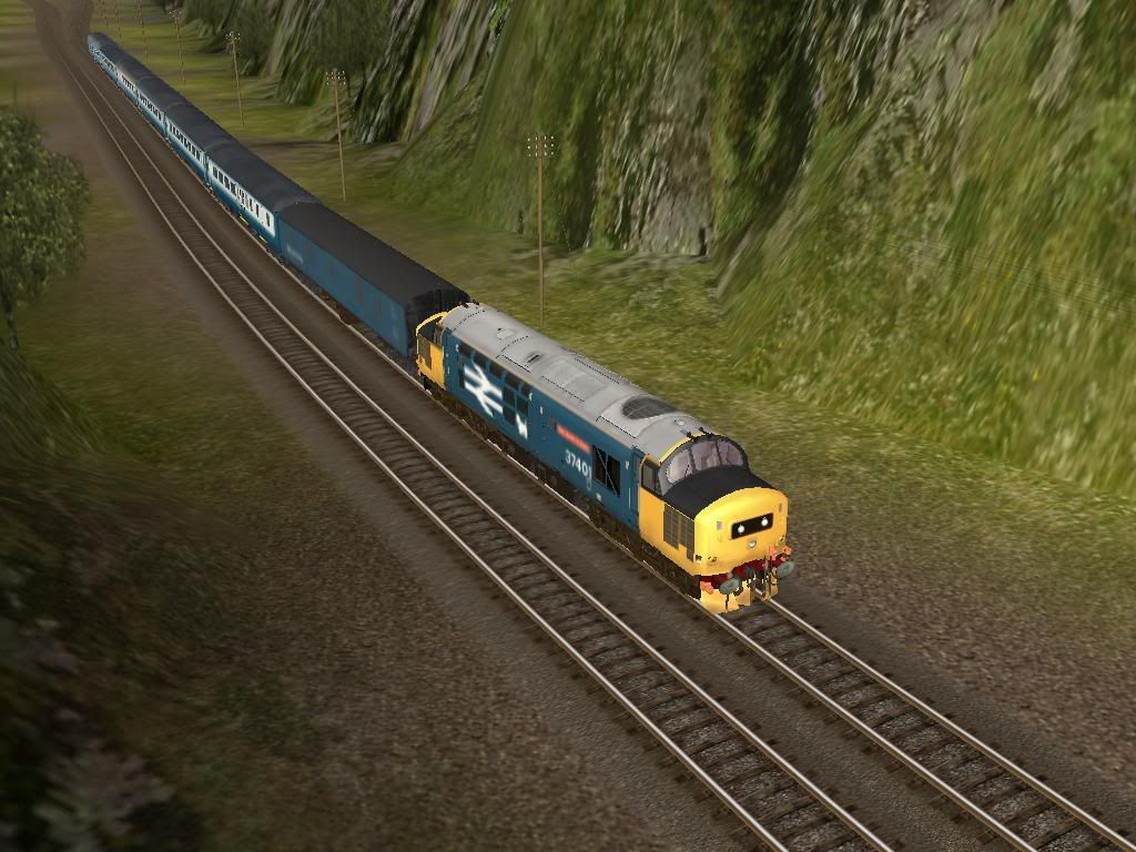 37401.jpg