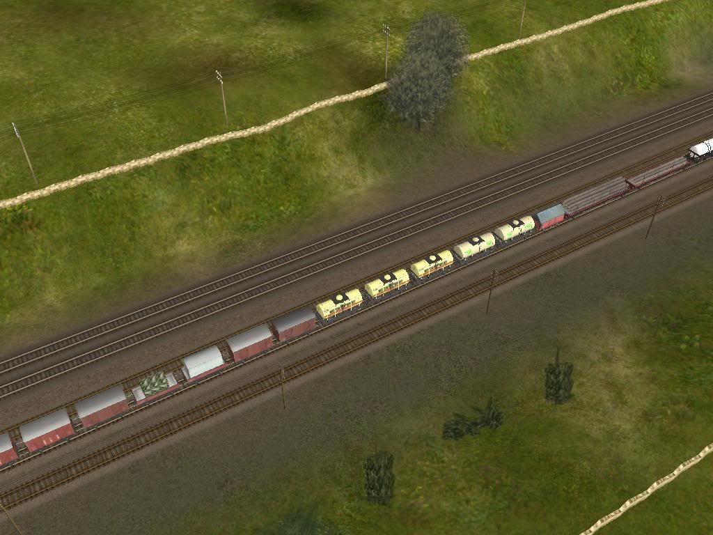 3rd.jpg