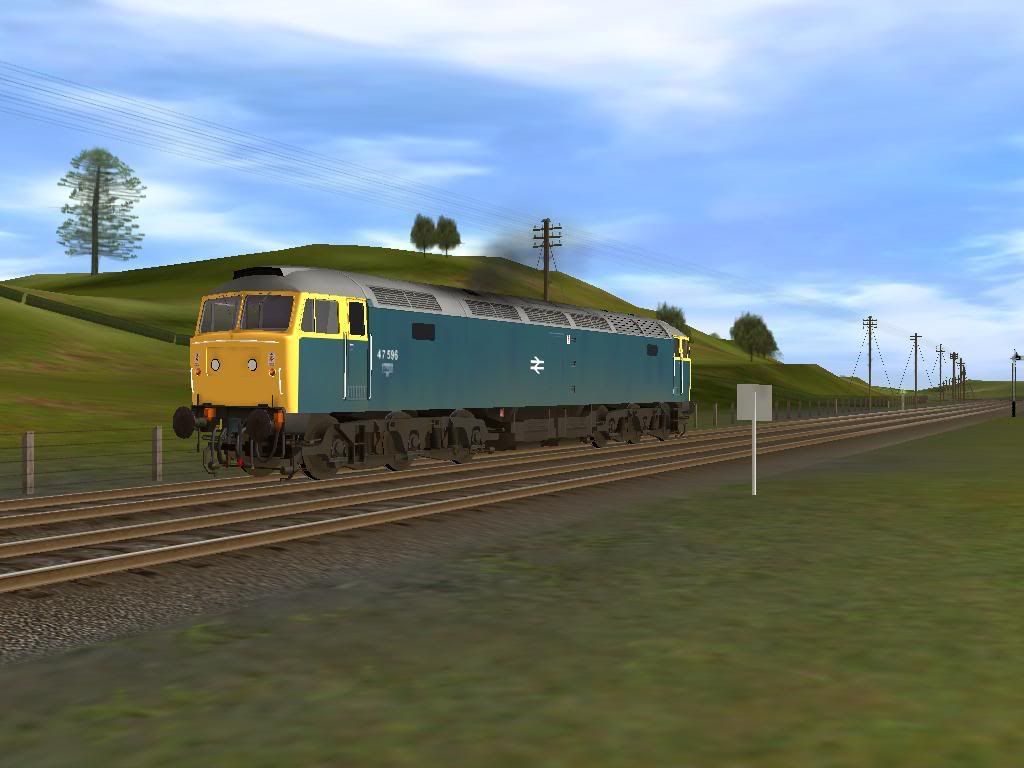 47596.jpg