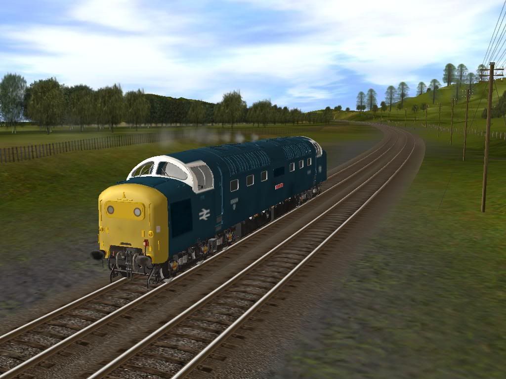 55009.jpg