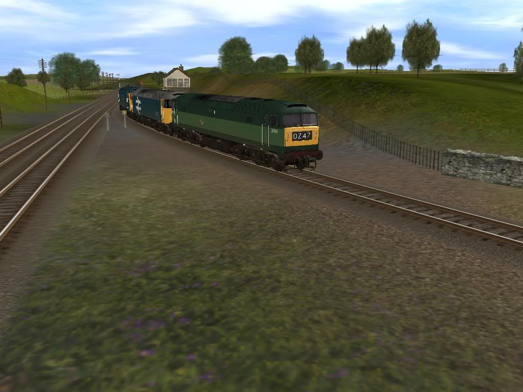 D1842.jpg