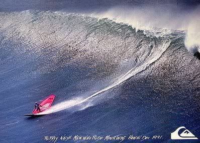 1991jawsposter.jpg