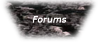 stoneforums.png