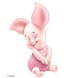 SCARY BABY PIGLET Pictures, Images and Photos