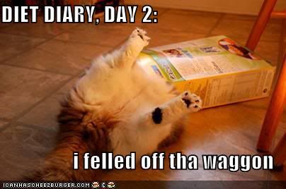 funny-pictures-cat-food-box-diet-diary.j