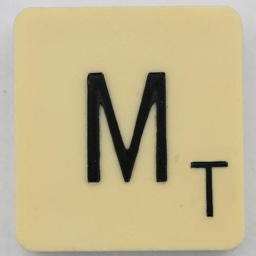 Mt.jpg