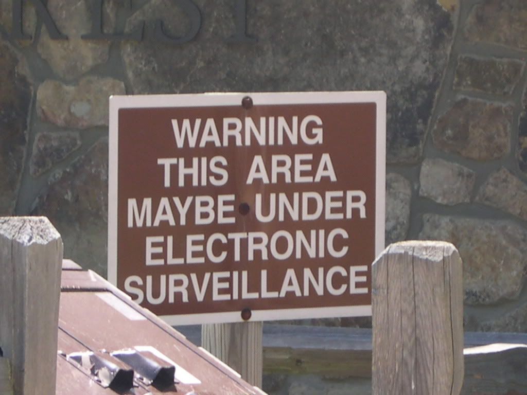 maybe under surveillance Pictures, Images and Photos