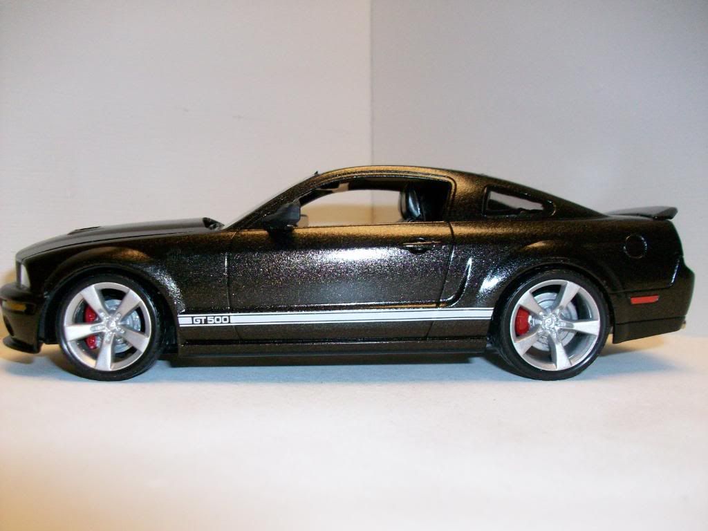 Mustang004.jpg
