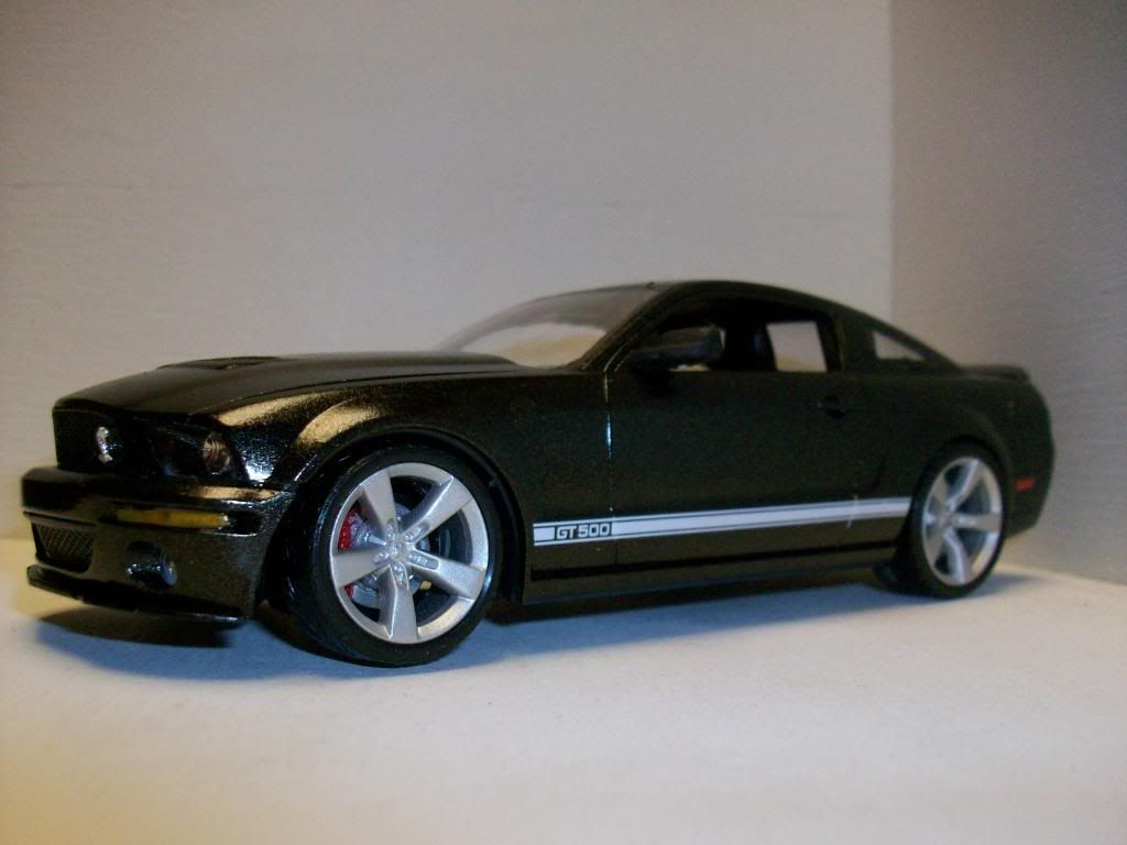 Mustang009.jpg