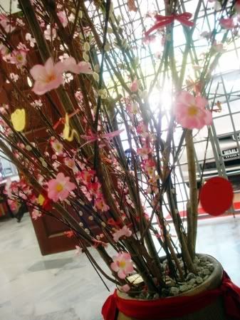 plum blossom tree