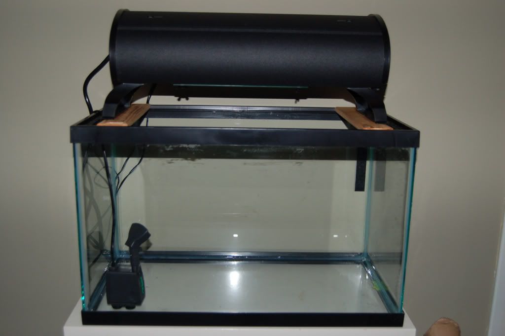 Posted Image