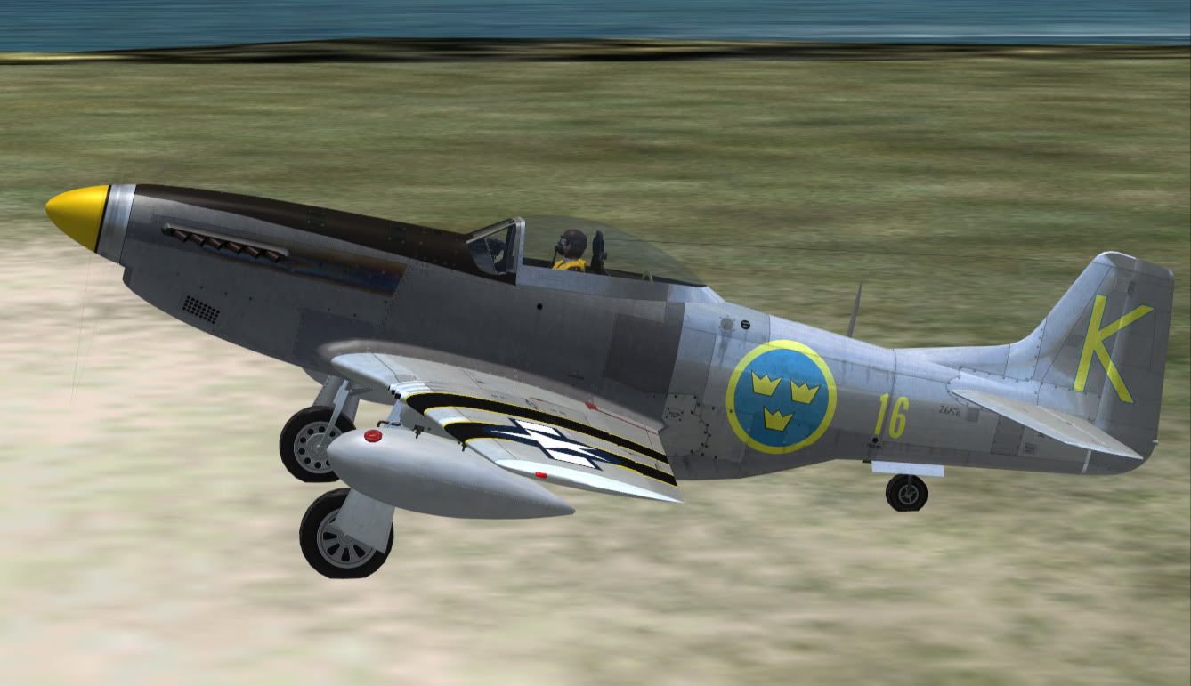 swedish1.jpg