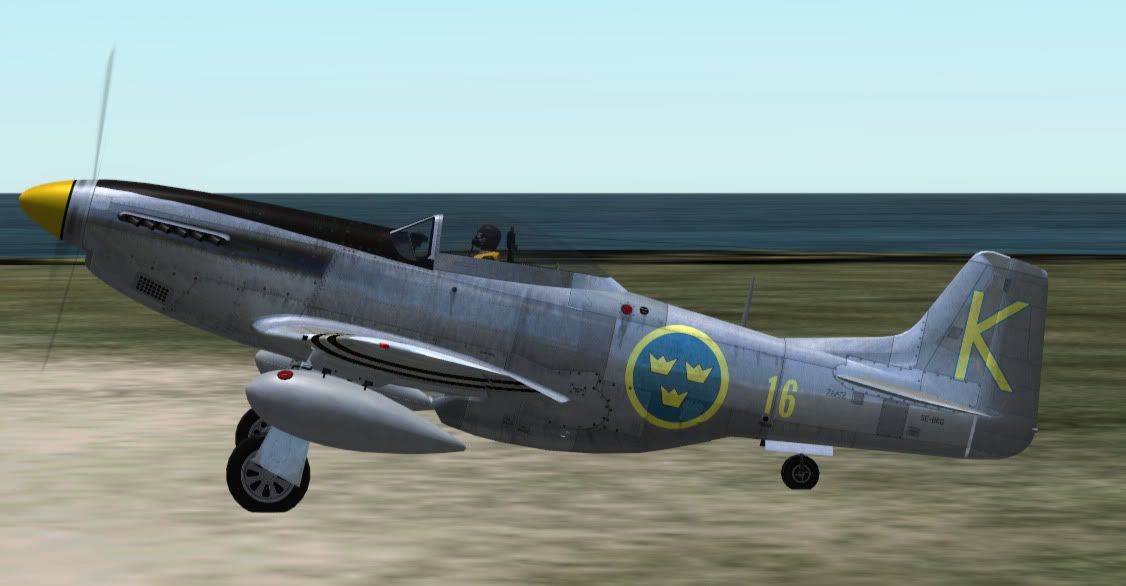 swedish2.jpg