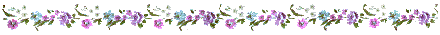 separatore13.gif
