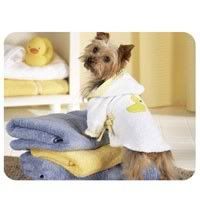 bathyorkie.jpg