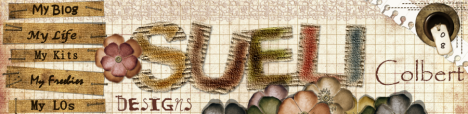 Sueli Colbert's Blog