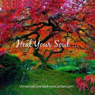 Heal your soul, your life! photo 10986886_10205146521239124_53279596_zpsf7393c1e.jpg