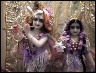 Coming home to Radha Gopinatha