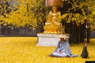  photo Buddha at Ginko tree_zpsrjdn1g0b.jpg
