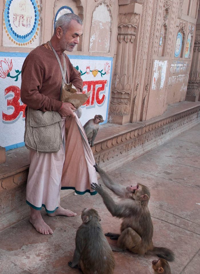  photo Monkey and devotee_zps89zqtj1i.jpg