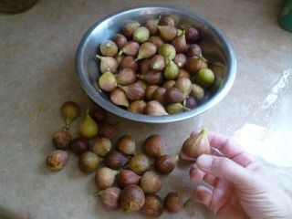 Figs galore