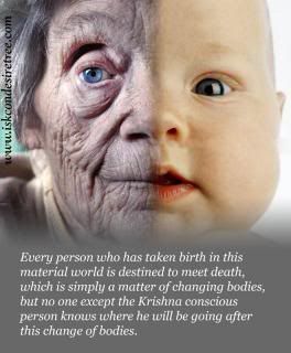 In the baby, the aged photo Quotes-by-Srila-Prabhupada-on-Death_zps3d887121.jpg