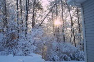 The Sun reveals snow wonder photo Snow2.jpg