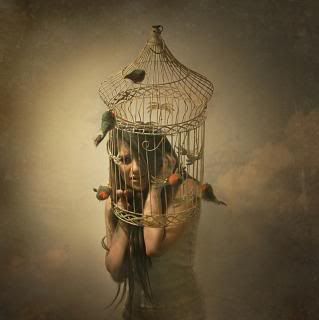 Free as a bird in a cage photo Trappedinacage_zps3bed4ce8.jpg