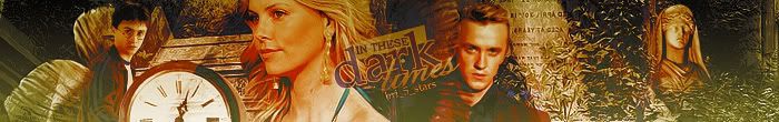 inthesedarktimes3.jpg GinnyPotter25