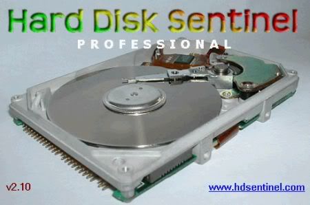 Hard Disk Sentinel Professional v3.00 Multilingual Cracked