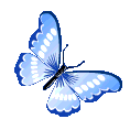 photo butterfly4.gif