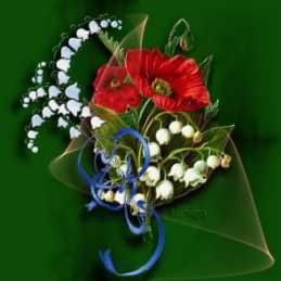 05imgsmall.jpg picture by Nina40-album