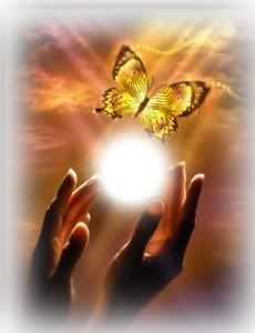 13403853_120_mariposa_volando_de_la.jpg picture by Nina40-album