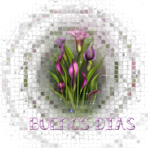 1BUENOSDIAS.gif picture by Nina40-album