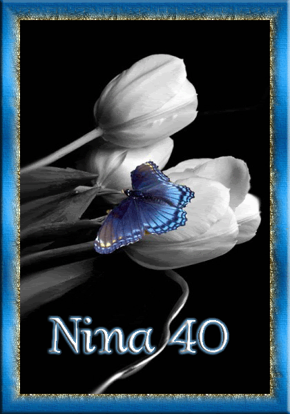 2n6w93knina-1.gif picture by Nina40-album