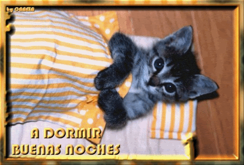 BUENAS20NOCHESSS1.gif picture by Nina40-album