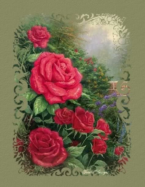 Rosegardenpic1.jpg picture by Nina40-album