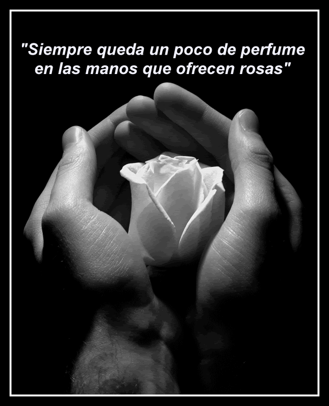 Siempre.gif picture by Nina40-album