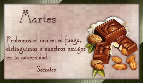 martes_016.jpg picture by Nina40-album