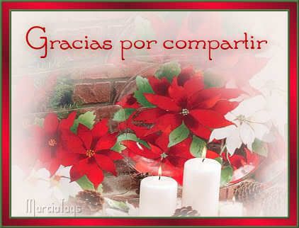 mgc-FlorNavidad_GraciasPorCompartir.jpg picture by Nina40-album