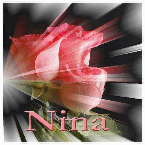 mrsdsalz443ngnina.gif picture by Nina40-album