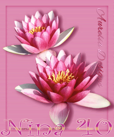 ninaDesigns_WaterLillies.gif picture by Nina40-album